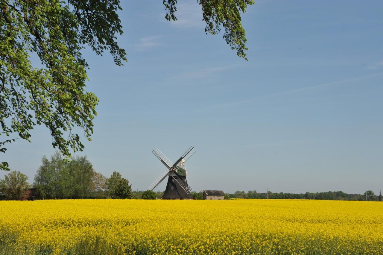 Ostsee-Ferienhaus Im Gruenen Klockenhagen Exteriör bild