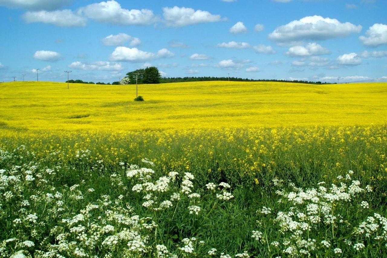 Ostsee-Ferienhaus Im Gruenen Klockenhagen Exteriör bild